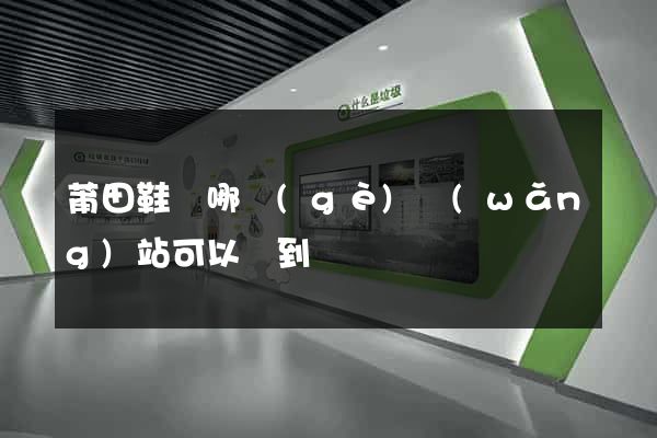 莆田鞋從哪個(gè)網(wǎng)站可以買到