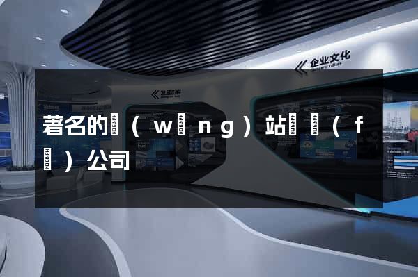 著名的網(wǎng)站開發(fā)公司