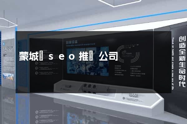 蒙城縣seo推廣公司