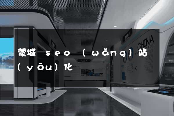 蒙城縣seo網(wǎng)站優(yōu)化