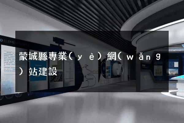 蒙城縣專業(yè)網(wǎng)站建設