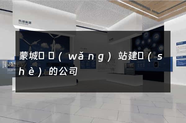 蒙城縣網(wǎng)站建設(shè)的公司