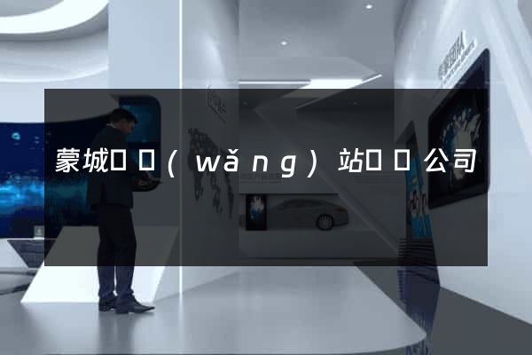 蒙城縣網(wǎng)站設計公司