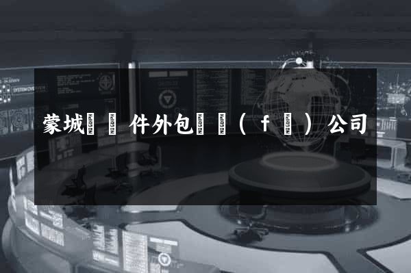 蒙城縣軟件外包開發(fā)公司