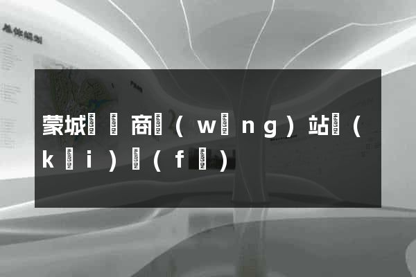 蒙城縣電商網(wǎng)站開(kāi)發(fā)