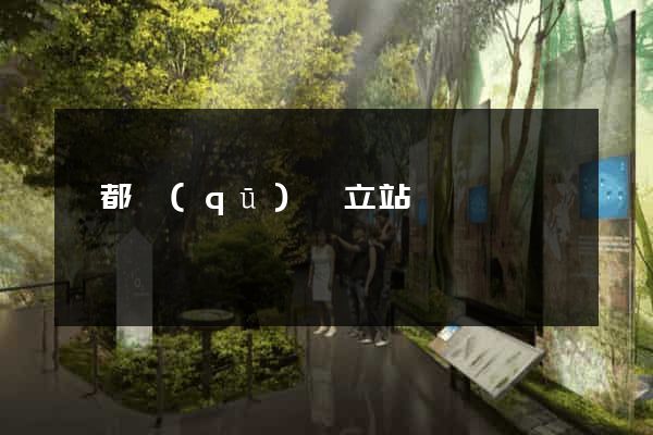 蓮都區(qū)獨立站運營
