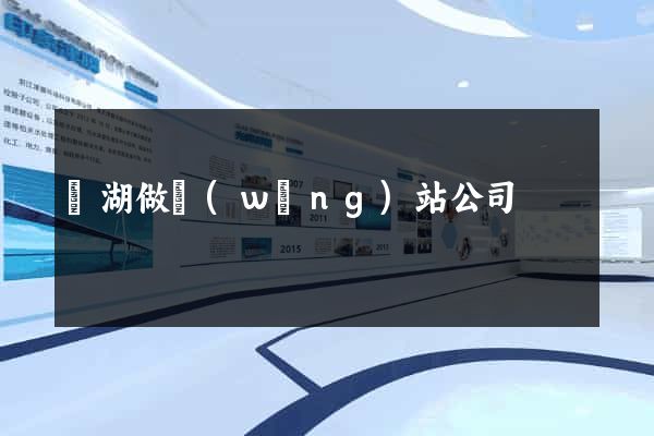 蕪湖做網(wǎng)站公司