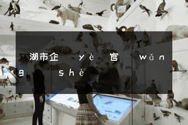 蕪湖市企業(yè)官網(wǎng)設(shè)計