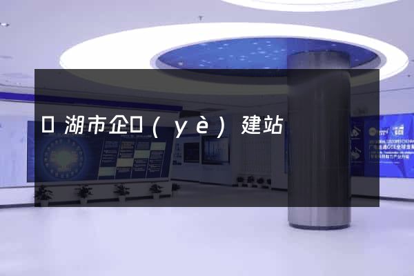 蕪湖市企業(yè)建站