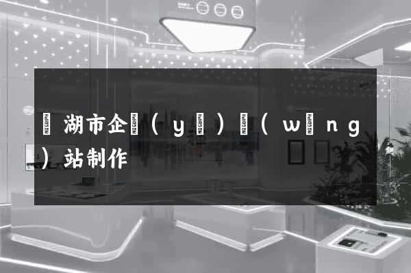 蕪湖市企業(yè)網(wǎng)站制作