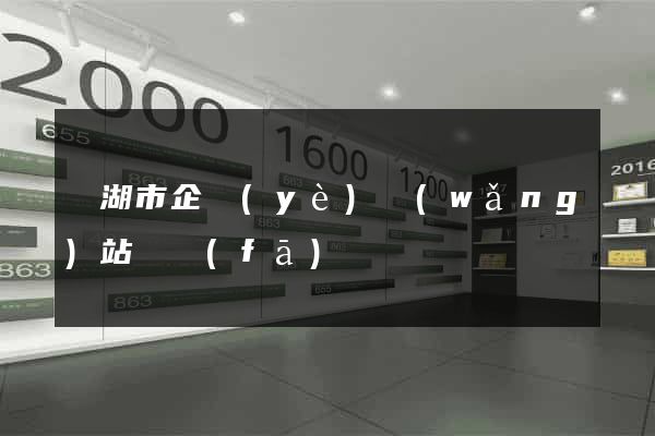 蕪湖市企業(yè)網(wǎng)站開發(fā)