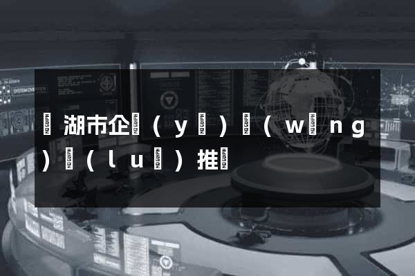 蕪湖市企業(yè)網(wǎng)絡(luò)推廣