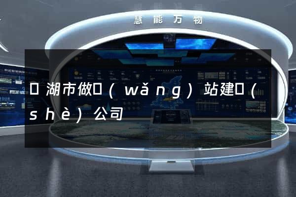 蕪湖市做網(wǎng)站建設(shè)公司