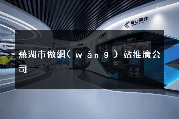 蕪湖市做網(wǎng)站推廣公司