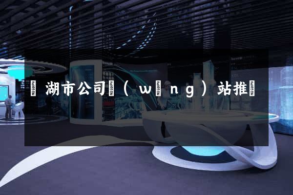 蕪湖市公司網(wǎng)站推廣