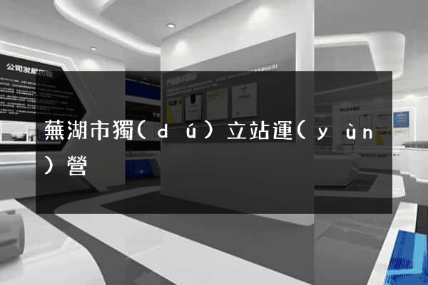 蕪湖市獨(dú)立站運(yùn)營