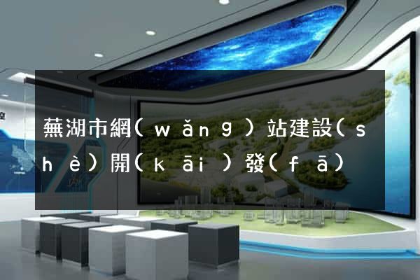 蕪湖市網(wǎng)站建設(shè)開(kāi)發(fā)