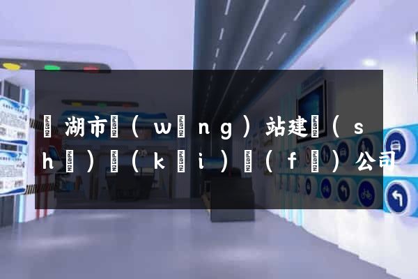 蕪湖市網(wǎng)站建設(shè)開(kāi)發(fā)公司