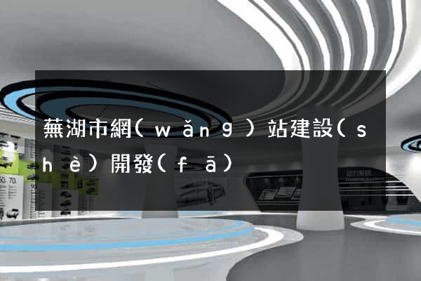 蕪湖市網(wǎng)站建設(shè)開發(fā)