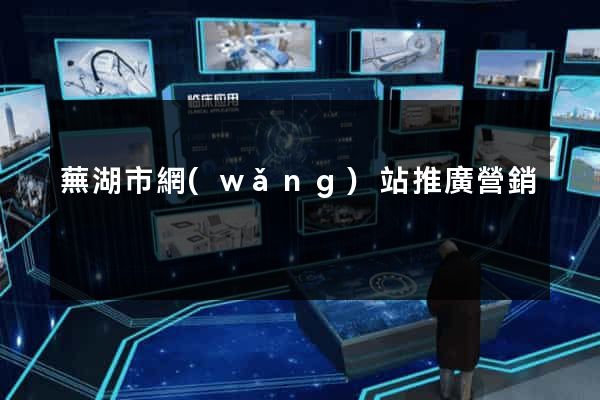 蕪湖市網(wǎng)站推廣營銷