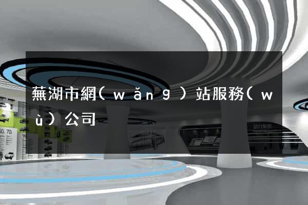 蕪湖市網(wǎng)站服務(wù)公司
