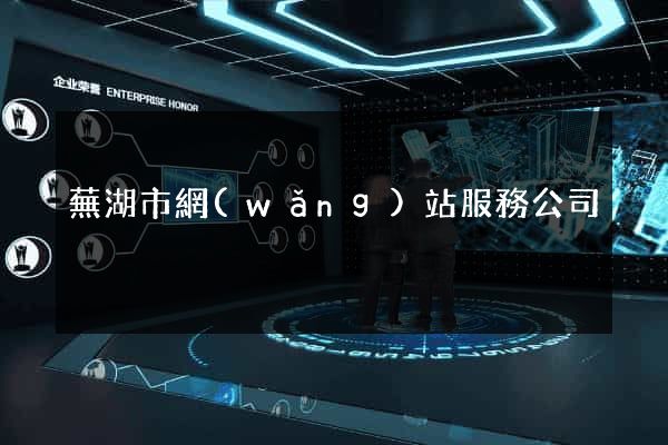 蕪湖市網(wǎng)站服務公司