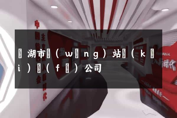 蕪湖市網(wǎng)站開(kāi)發(fā)公司