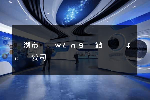 蕪湖市網(wǎng)站開發(fā)公司