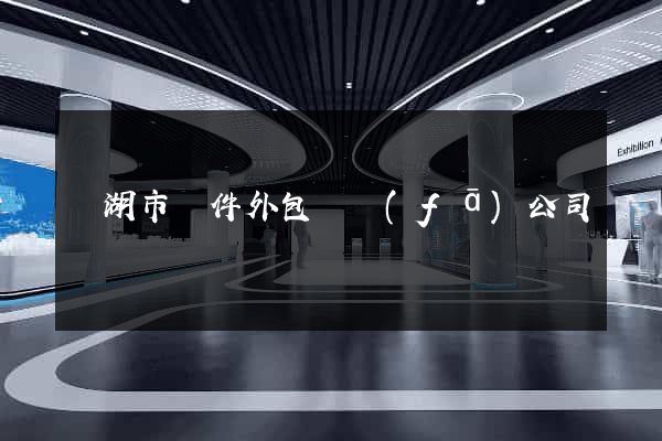 蕪湖市軟件外包開發(fā)公司