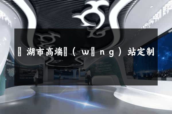 蕪湖市高端網(wǎng)站定制