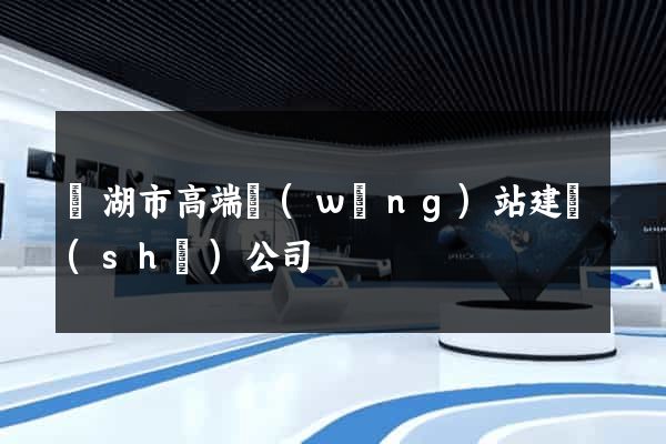 蕪湖市高端網(wǎng)站建設(shè)公司