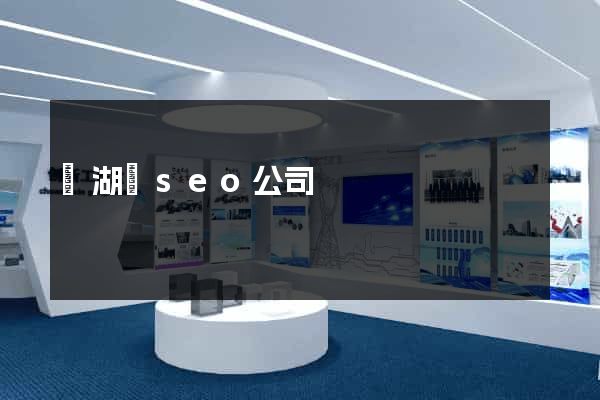 蕪湖縣seo公司