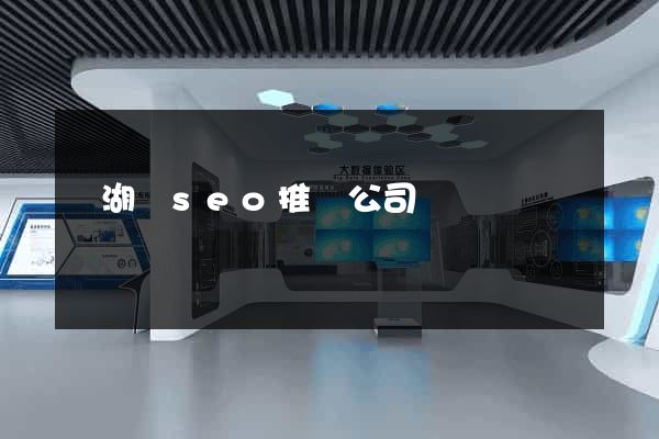 蕪湖縣seo推廣公司