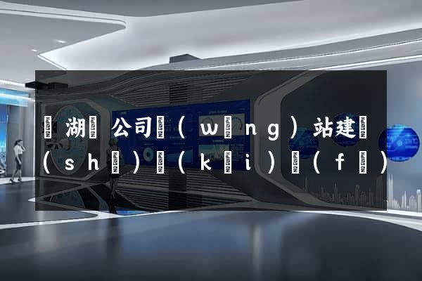 蕪湖縣公司網(wǎng)站建設(shè)開(kāi)發(fā)