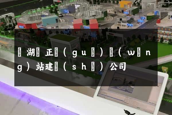 蕪湖縣正規(guī)網(wǎng)站建設(shè)公司