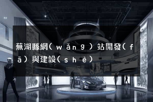 蕪湖縣網(wǎng)站開發(fā)與建設(shè)