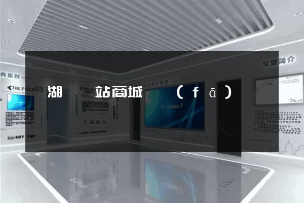 蕪湖縣網站商城開發(fā)