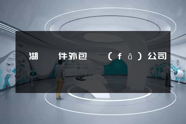 蕪湖縣軟件外包開發(fā)公司