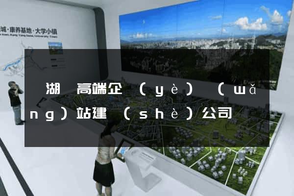 蕪湖縣高端企業(yè)網(wǎng)站建設(shè)公司