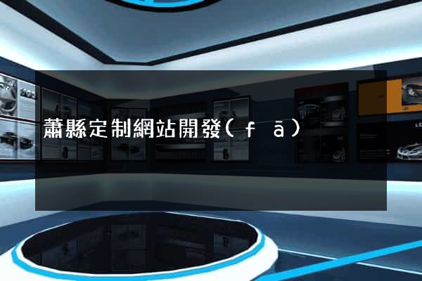 蕭縣定制網站開發(fā)