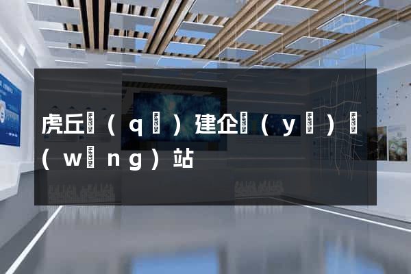 虎丘區(qū)建企業(yè)網(wǎng)站
