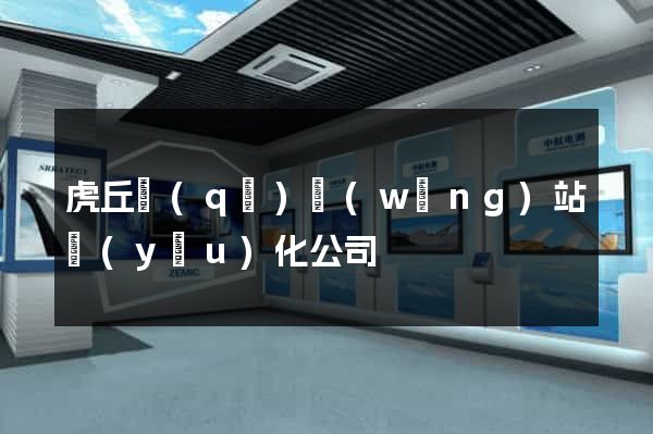 虎丘區(qū)網(wǎng)站優(yōu)化公司
