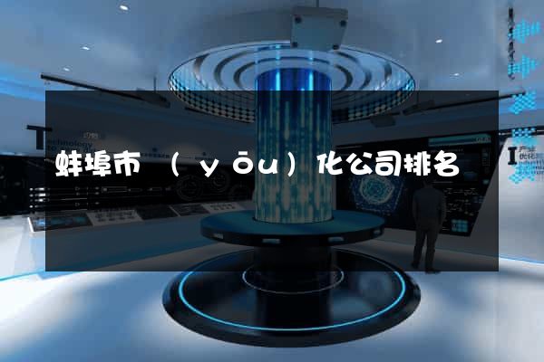 蚌埠市優(yōu)化公司排名