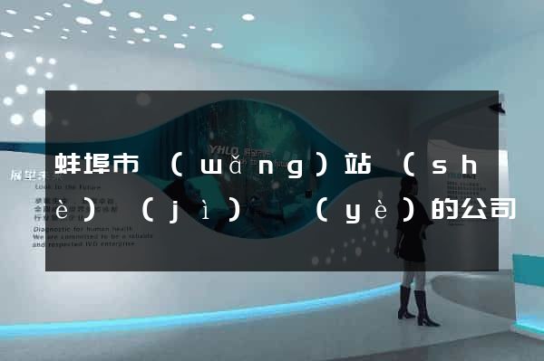 蚌埠市網(wǎng)站設(shè)計(jì)專業(yè)的公司