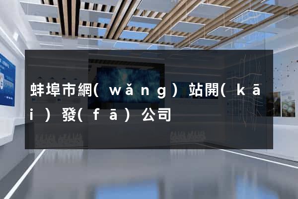 蚌埠市網(wǎng)站開(kāi)發(fā)公司