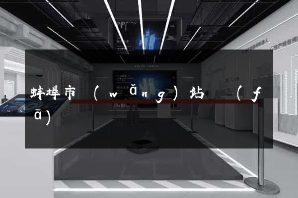 蚌埠市網(wǎng)站開發(fā)