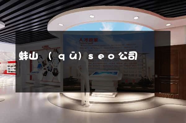 蚌山區(qū)seo公司