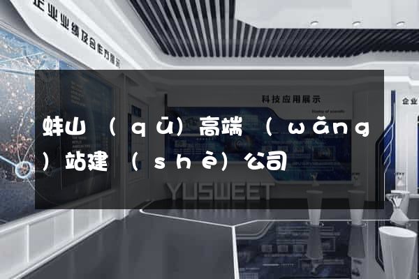 蚌山區(qū)高端網(wǎng)站建設(shè)公司