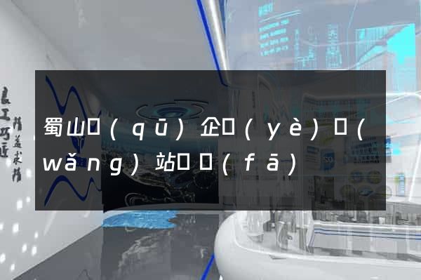 蜀山區(qū)企業(yè)網(wǎng)站開發(fā)