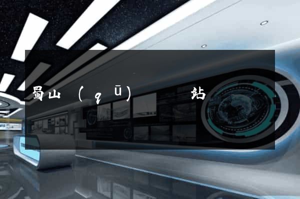 蜀山區(qū)營銷網站設計